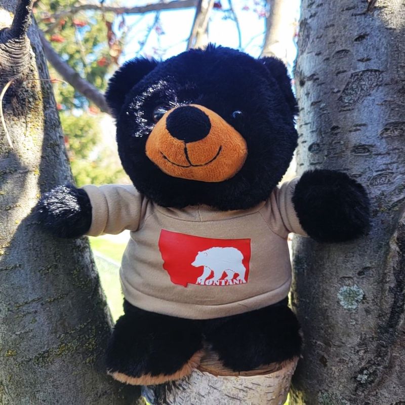 Chubby Black Bear 8&quot;