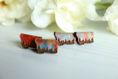 Montana State Wood Stud Earrings - Patina