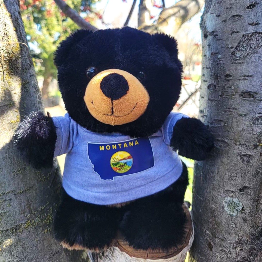 Chubby Black Bear 8&quot;, Colour: Gray Shirt w/ Blue MT Flag