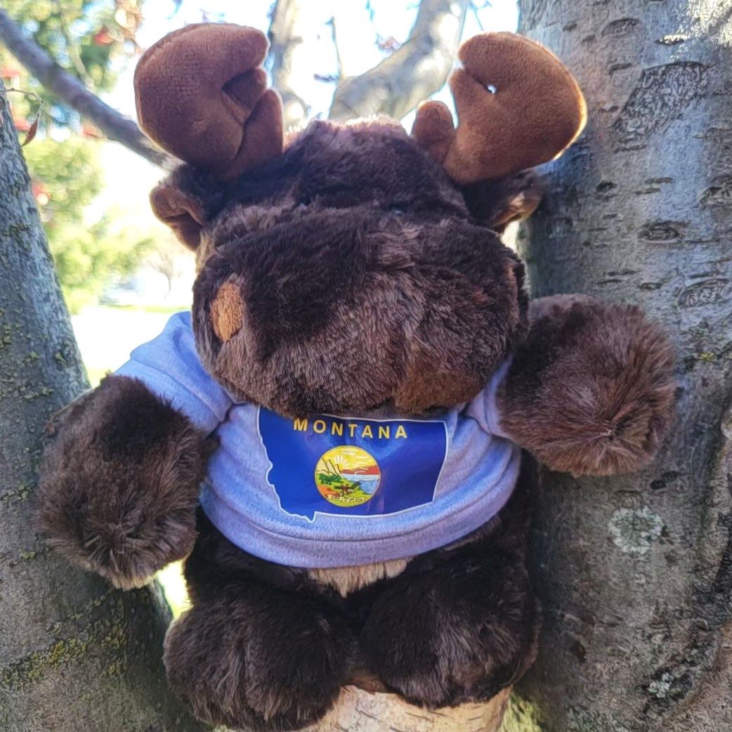 Chubby Moose 8”, Colour: Gray Shirt w/ Blue MT Flag