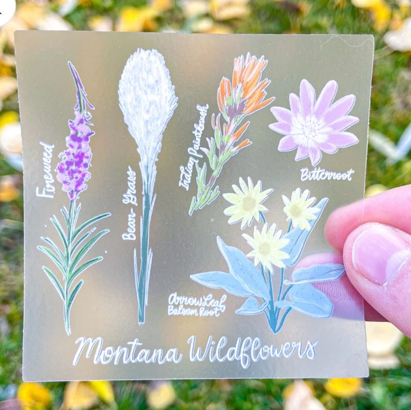 Montana Wildflowers Sticker