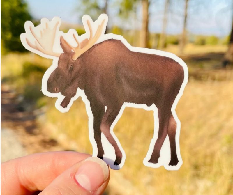 Moose Sticker
