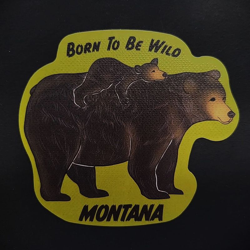&quot;Born To Be Wild&quot; MT Bears Sticker