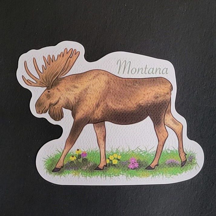 Montana Moose Sticker