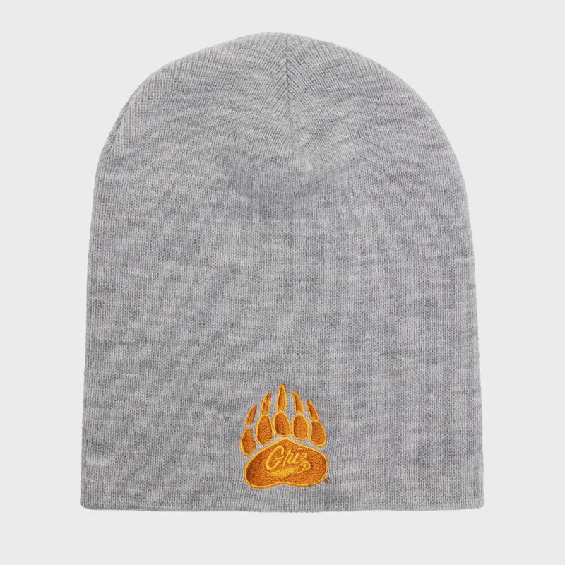 Griz Beanie Heather in Grey