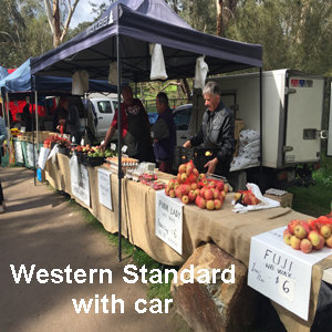 2026 Western Standard with car space