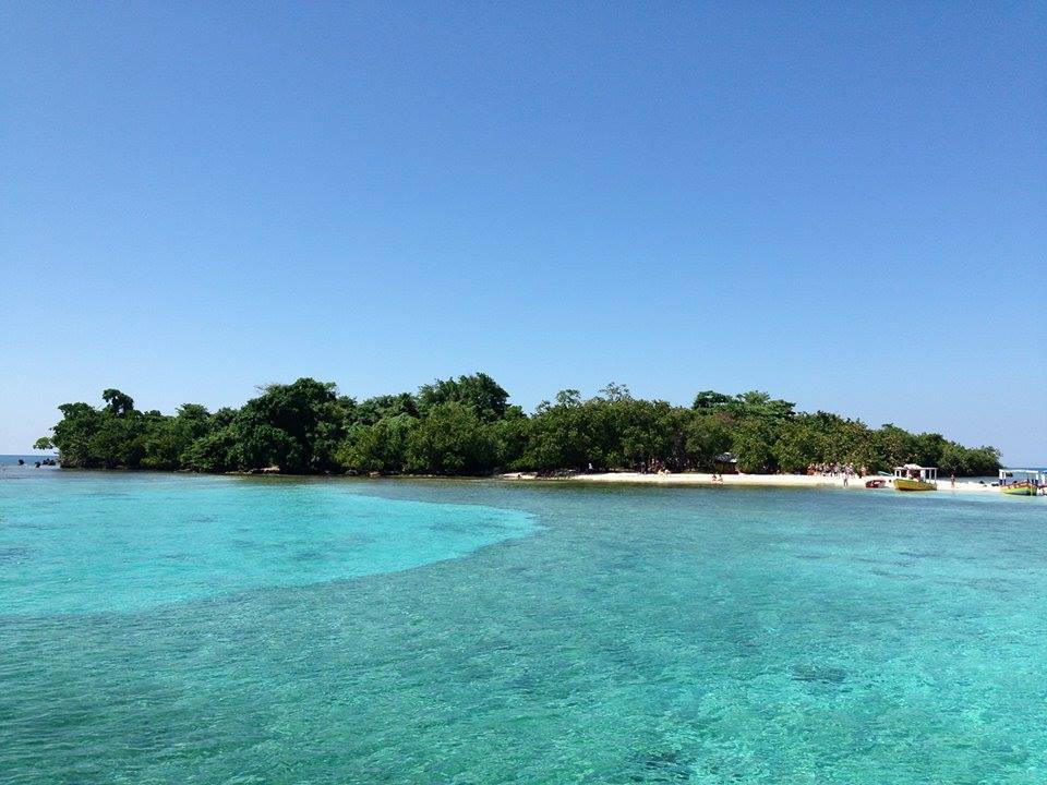 Island Picnic Day Cruise