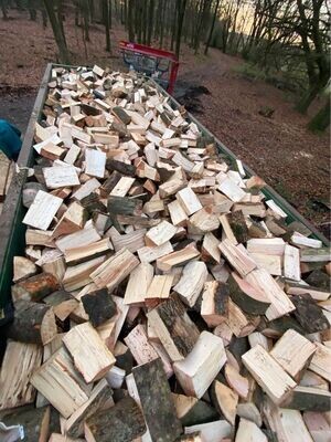 35 Yard Bulk Bin of Kiln-Dried Softwood