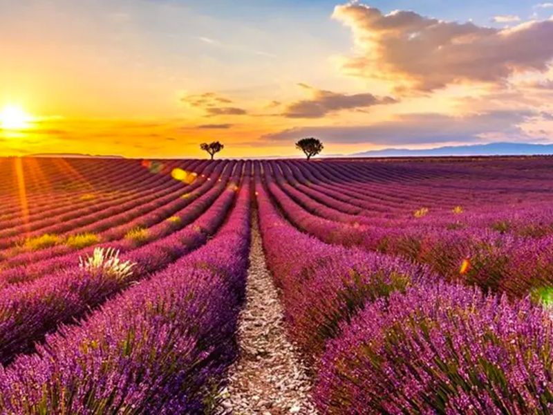 Stage de vélo à Gréoux-les-Bains en France du 23 au 30 mai 2026