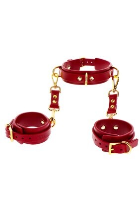 TABOOM Bondage in Luxury - Halsband en Handboeien Set