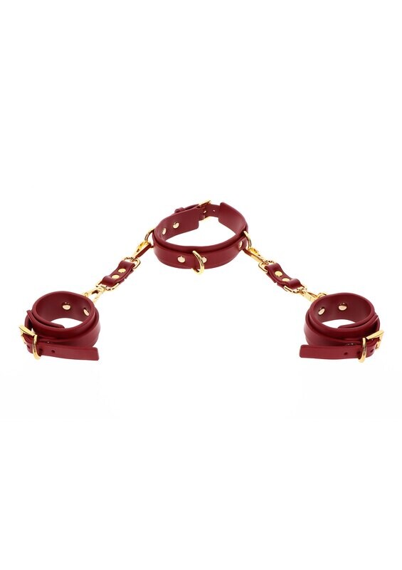 TABOOM Bondage in Luxury - Halsband en Handboeien Set