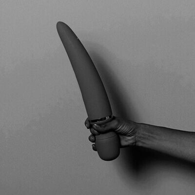 Wand Vibrator