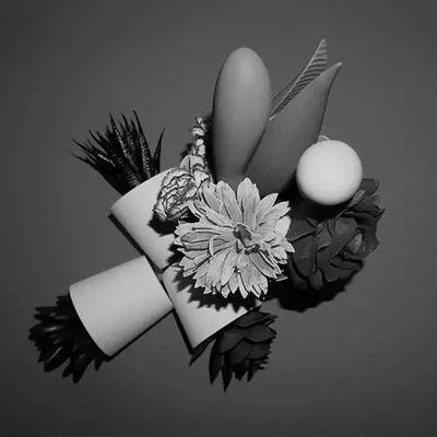 Dildo Accessoires