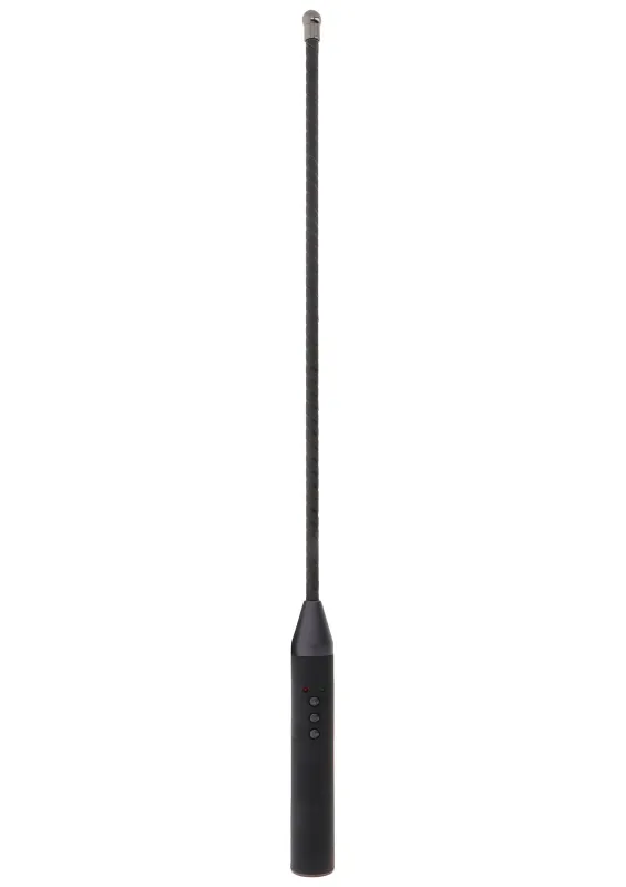 Hidden Desire Extreme Elektro Cane