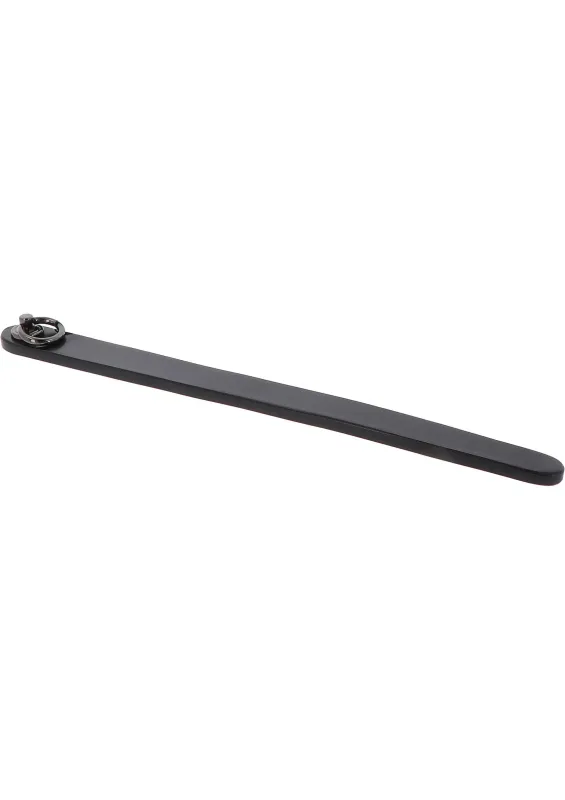 Hidden Desire Master Leren Ruler