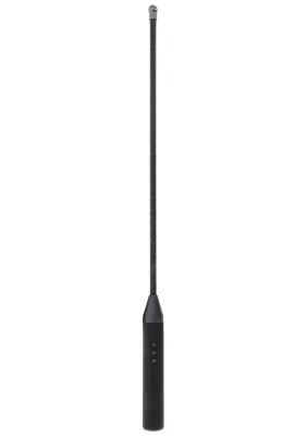 Hidden Desire Extreme Elektro Cane