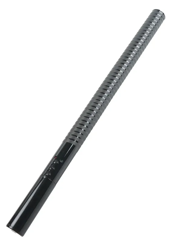 Hidden Desire Extreme Elektro Baton