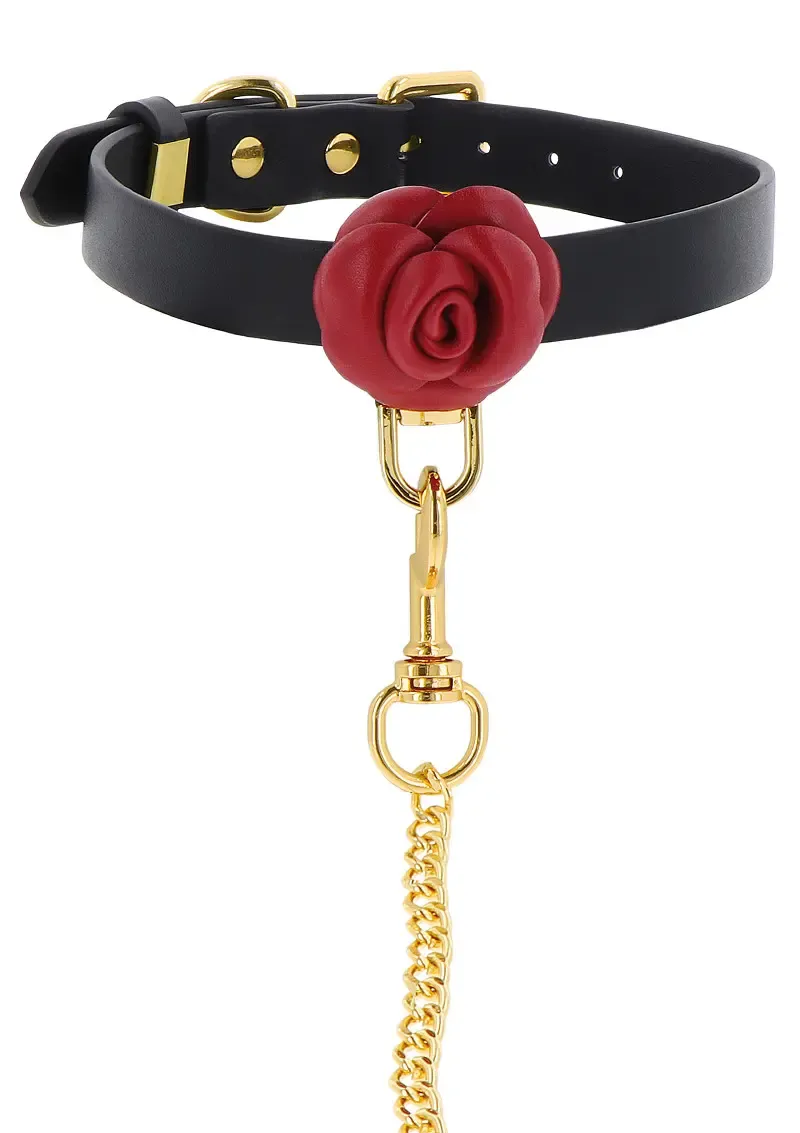 TABOOM Wild Roses - Halsband + Riem