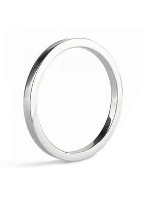 Mr. Steel Penisring Premium 6X55