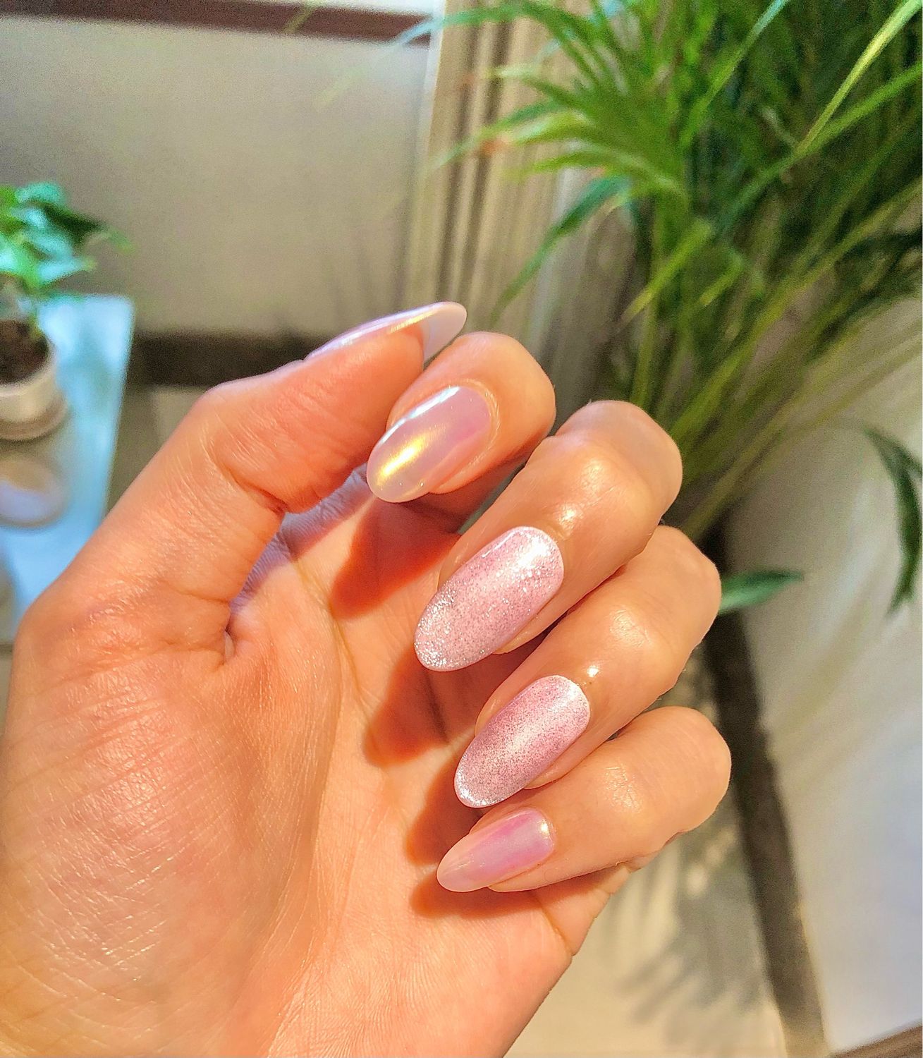 Cuticle Oil
