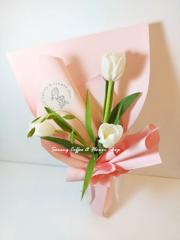 Tulip 雅致愜意 S