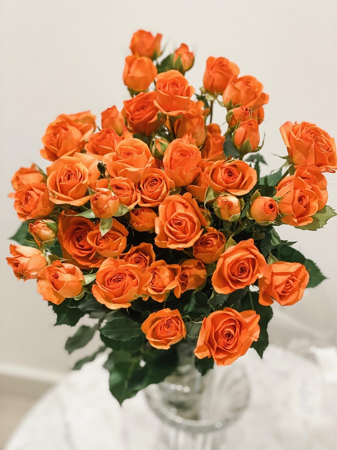 Orange baby Roses