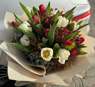 Tulips