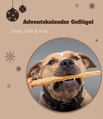 Adventskalender Geflügel