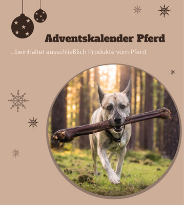 Adventskalender Pferd
