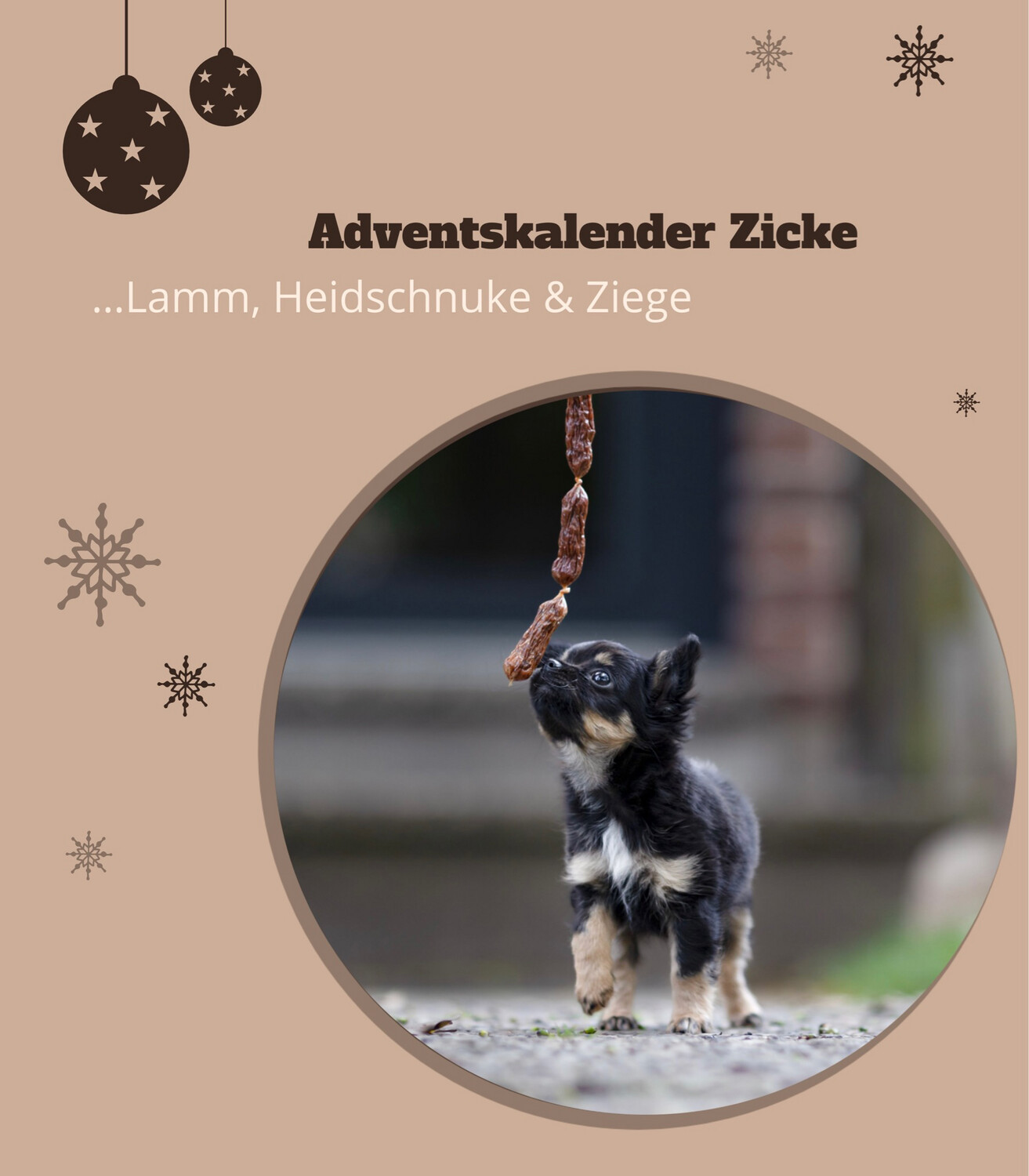 Adventskalender Lamm/Ziege