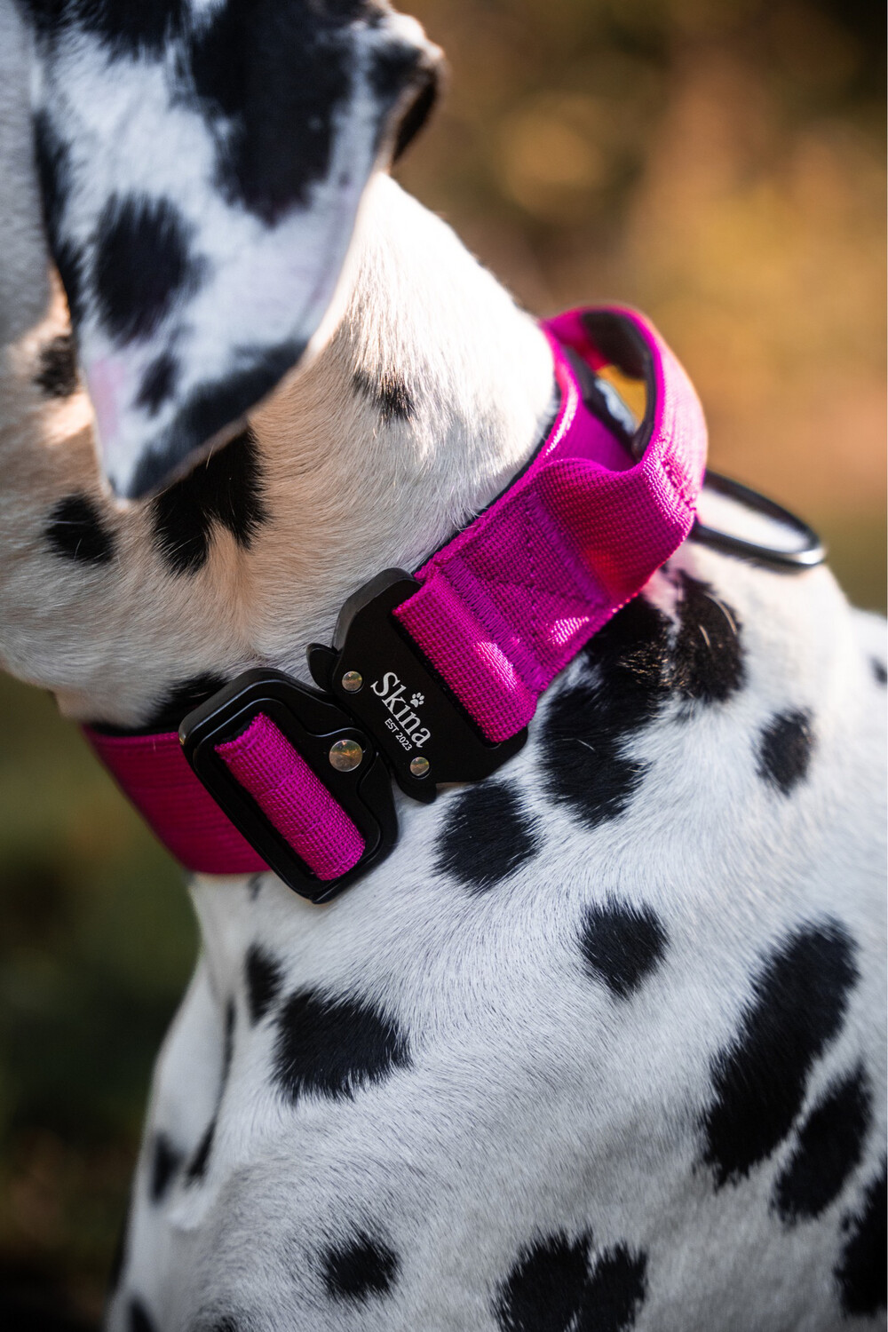 Taktisches Halsband mit Sicherheitsschnalle &amp; Haltegriff „Magenta“