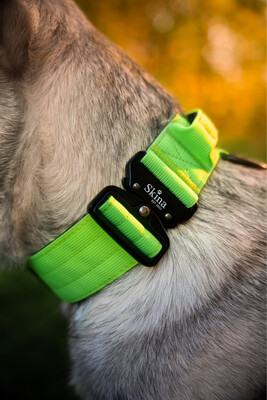Halsband mit Sicherheitsschnalle &amp; Haltegriff „Neon Grün“