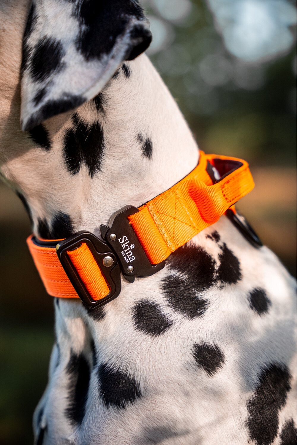 Taktisches Halsband mit Sicherheitsschnalle &amp; Haltegriff „Neon Orange“