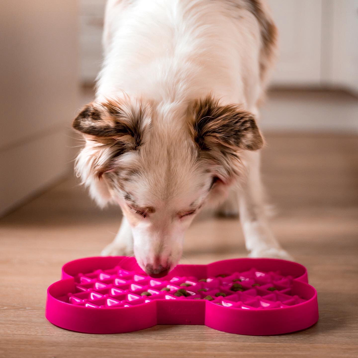 LickiMat Slodog