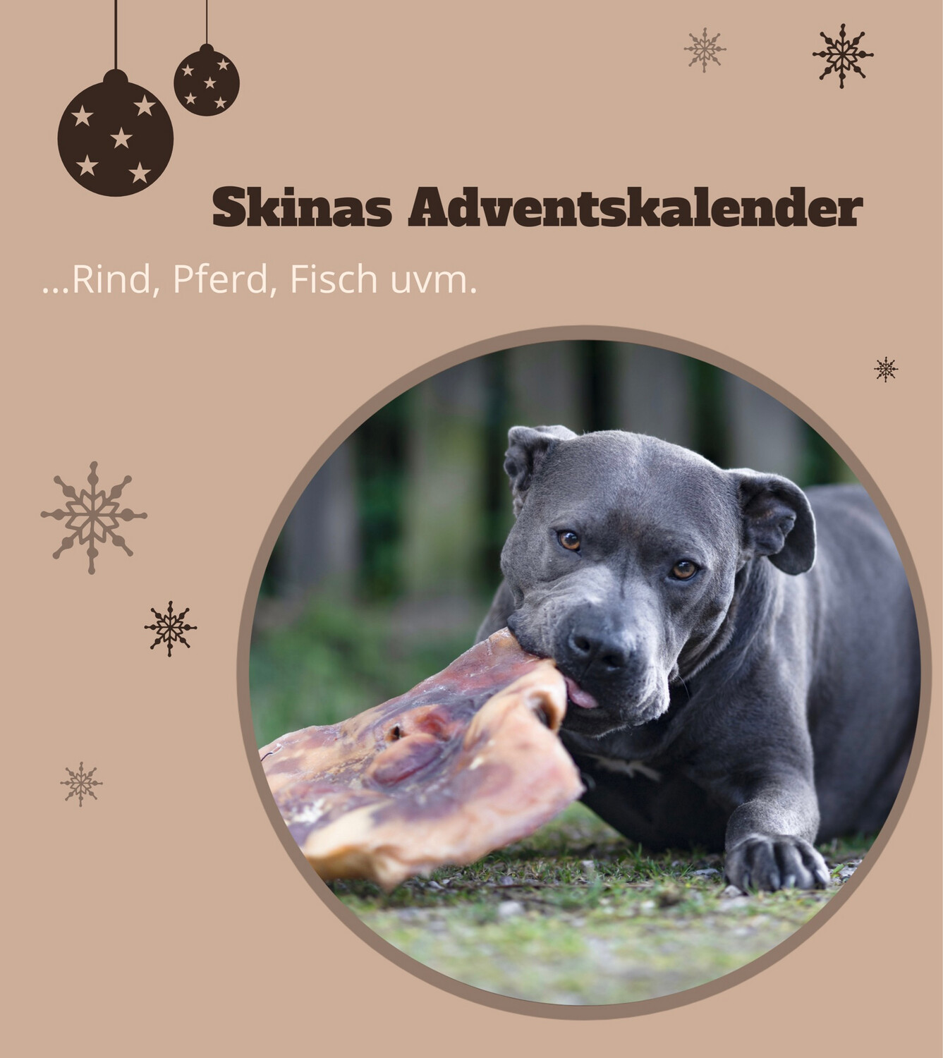 Skinas Adventskalender