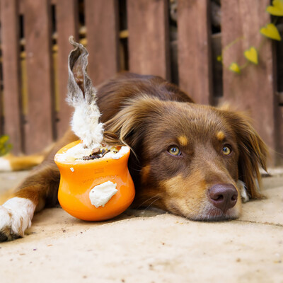 WestPaw Toppl® Orange