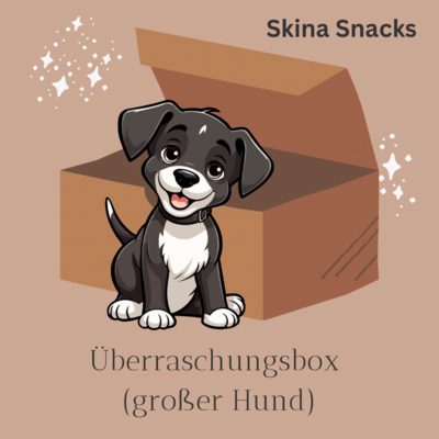 Überraschungsbox (Großer Hund)