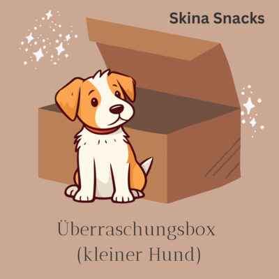 Überraschungsbox (Kleiner Hund)