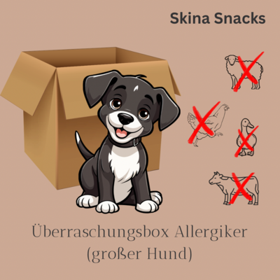 Überraschungsbox Allergiker (Großer Hund)