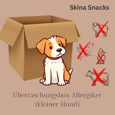 Überraschungsbox Allergiker (Kleiner Hund)
