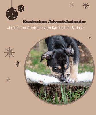 Adventskalender Kaninchen