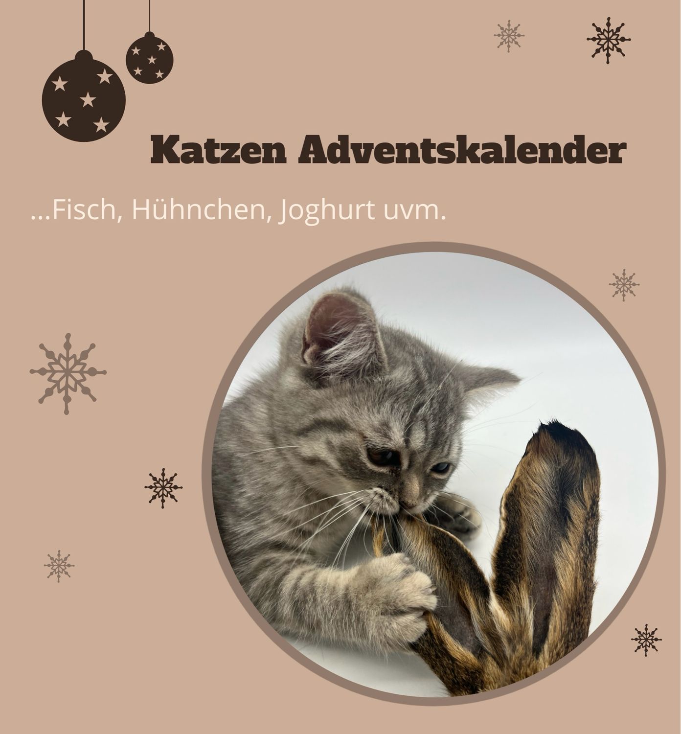 Katzen Adventskalender