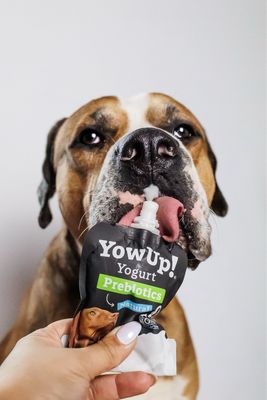 YowUp! Gesunde Gelenke Hunde Joghurt Geflügel