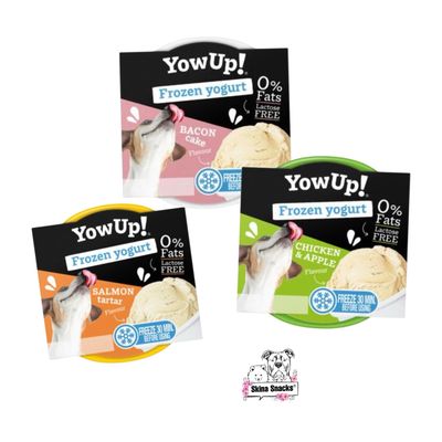 YowUp! Frozen yogurt