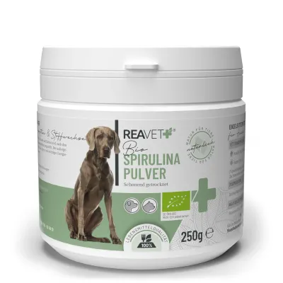 BIO Spirulina Pulver 250g