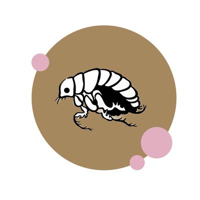 Flohmittel