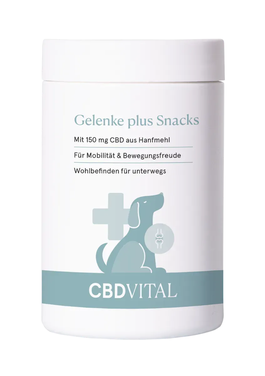 CBD Gelenke plus Snacks | Hunde | Gelenksschutz