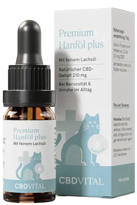 CBD Hanföl für Katzen