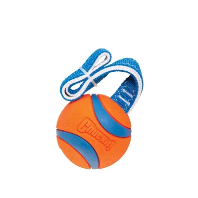Chuckit! Ultra Tug