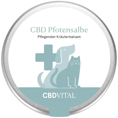 CBD Pfotensalbe